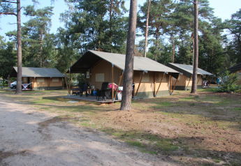 Safari-telte ved Eurocamping Vessem BV i Holland, omgivet af skov og udendørs siddepladser på verandaer.