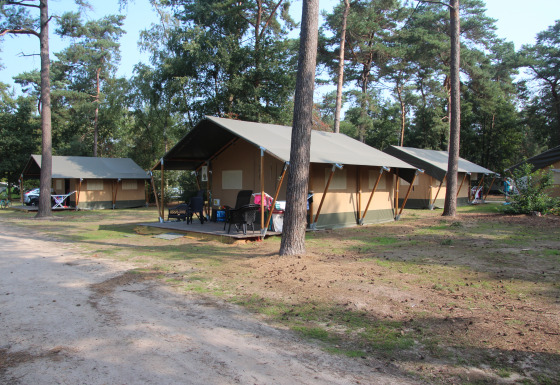 Safari-Zelte im Eurocamping Vessem BV in den Niederlanden, umgeben von Bäumen und Natur im Waldgebiet.