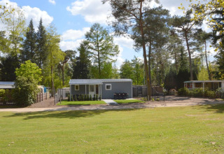 Easy chalet bij Eurocamping Vessem BV in Nederland, omringd door gras en hoge bomen in een rustige omgeving.
