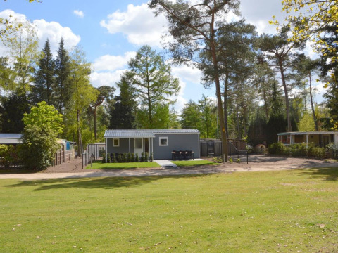 Et let chalet ved Eurocamping Vessem BV i Holland, omgivet af grønne træer og en åben plæne.