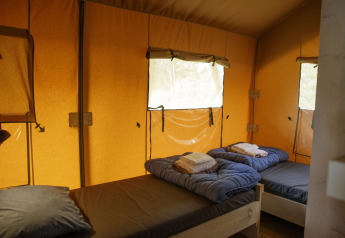 Interior view of a safari tent at Costa Kabrita in the Netherlands, featuring three single beds and bedding.