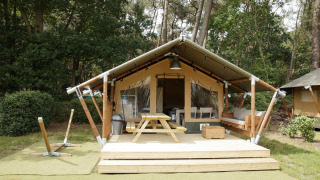 Safari tent lodge with wooden deck, bench, picnic table and forest backdrop, perfect for relaxing stays.