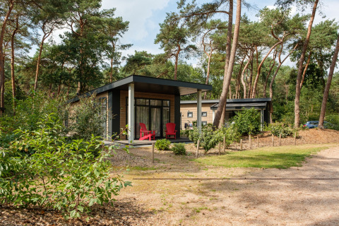 Lodges - Kleine Belties - Hardenberg, Overijssel, Niederlande