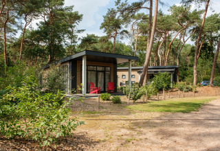 Lodges - Kleine Belties - Hardenberg, Overijssel, Niederlande