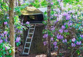 Das Baumhaus Treelodge bei Costa Kabrita in den Niederlanden, umgeben von lila Blüten im Wald.