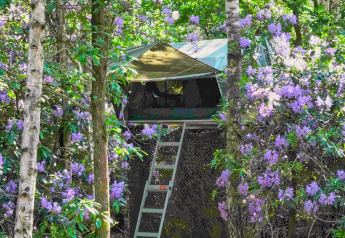 Boomhut Treelodge bij Costa Kabrita in Nederland, omringd door bos en bloeiende paarse struiken.