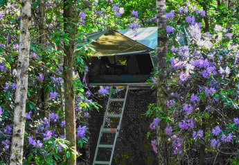 Baumhaus Treelodge bei Costa Kabrita, Niederlande, umgeben von blühenden lilafarbenen Büschen im Wald.