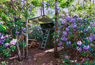 Boomhut Treelodge bij Costa Kabrita in Nederland, omringd door bloeiende paarse struiken en bomen.