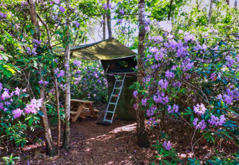 Boomhut Treelodge bij Costa Kabrita in Nederland, omringd door bloeiende paarse struiken en bomen.