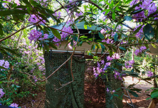 Træhus skjult blandt lilla blomster og frodige grene i Treelodge, Costa Kabrita, Holland.