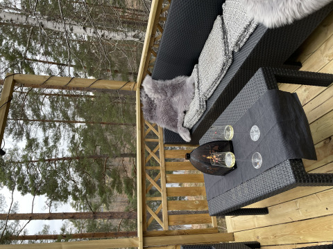 Buitenpatio aan Stuga Glamping in Småland Miniglamping, Zweden, met zetel, tafel en zicht op het bos.