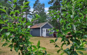 Accogliente casa blu a Stuga glamping, Småland Miniglamping, Svezia, con alberi da frutto e cielo azzurro.