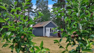 Accogliente casa blu a Stuga glamping, Småland Miniglamping, Svezia, con alberi da frutto e cielo azzurro.