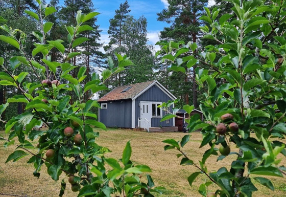 Accogliente casa blu a Stuga glamping, Småland Miniglamping, Svezia, con alberi da frutto e cielo azzurro.