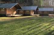 Safari tents in a forest clearing with green grass and early sunlight, perfect for outdoor stays.