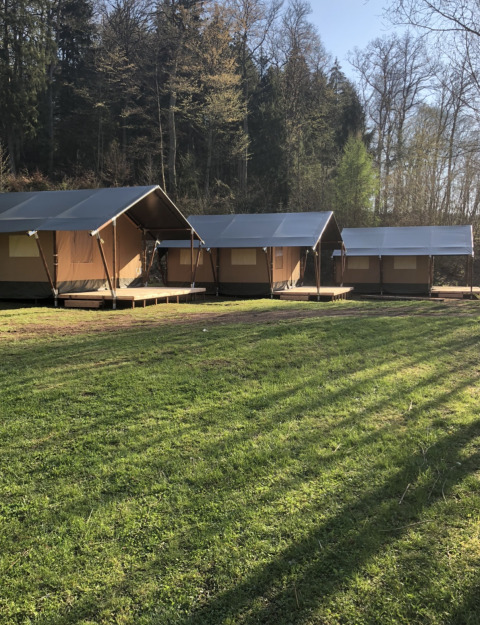Tentes safari dans une clairière forestière, herbe verte et soleil matinal, idéales pour camper.