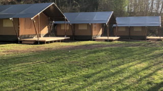 Safari tents in a forest clearing with green grass and early sunlight, perfect for outdoor stays.