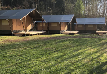 Tentes safari dans une clairière forestière, herbe verte et soleil matinal, idéales pour camper.