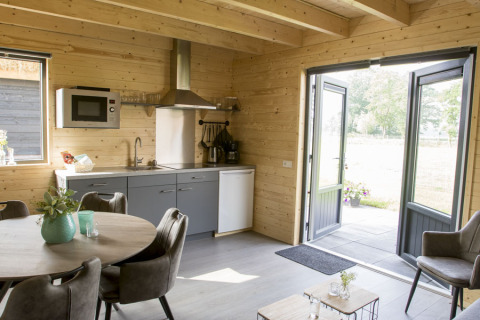 Modern vacation lodge kitchen and dining area with wood interior, open to patio, at Nieuw Romalo, Netherlands.