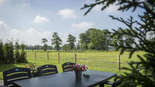 View from a terrace at Vakantiehuisje Hooiberg, Camping Nieuw Romalo, Netherlands with fields and trees.