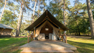 Safari tent Duolodge met houten terras in een bosrijke omgeving met hoge bomen en veel groen