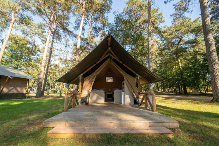 Tienda safari Duolodge con plataforma de madera ubicada en un claro de bosque rodeado de altos árboles