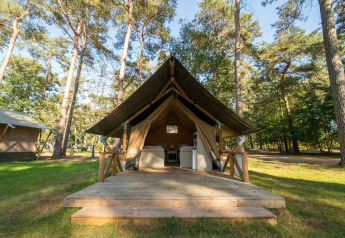 Tienda safari Duolodge con plataforma de madera ubicada en un claro de bosque rodeado de altos árboles