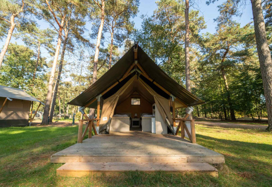 Tienda safari Duolodge con plataforma de madera ubicada en un claro de bosque rodeado de altos árboles