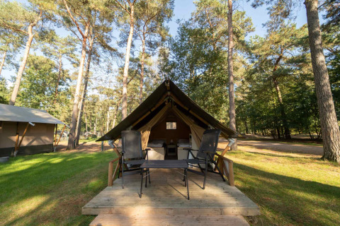 Tente safari Duolodge à Eurocamping Vessem BV, Pays-Bas, entourée par la forêt et le soleil matinal.