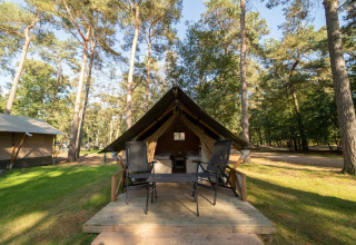 Tente safari Duolodge à Eurocamping Vessem BV, Pays-Bas, entourée par la forêt et le soleil matinal.