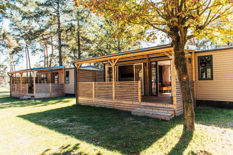 Boslodge ved Eurocamping Vessem BV i Holland, hyggelige træhytter omgivet af skov og grønne træer.