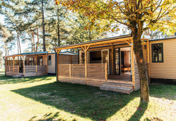 Boslodge a Eurocamping Vessem BV nei Paesi Bassi, casette di legno immerse nella natura e alberi verdi.