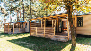 Boslodge a Eurocamping Vessem BV nei Paesi Bassi, casette di legno immerse nella natura e alberi verdi.