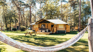 Safaritent met terras, picknickbank en hangmat bij Eurocamping Vessem BV, omgeven door bos in Nederland.