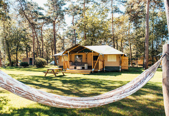 Safaritent met terras, picknickbank en hangmat bij Eurocamping Vessem BV, omgeven door bos in Nederland.