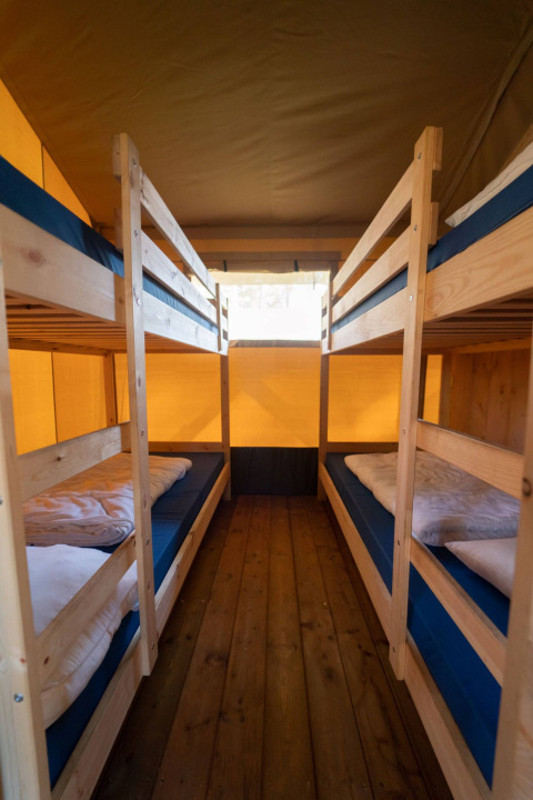 Vista interna di una tenda safari con quattro letti a castello e pavimento in legno a Eurocamping Vessem BV, Paesi Bassi.
