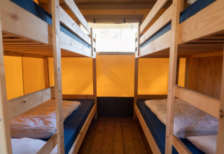 Vista interna di una tenda safari con quattro letti a castello e pavimento in legno a Eurocamping Vessem BV, Paesi Bassi.