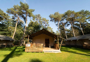 Safari telt med sanitære faciliteter på Eurocamping Vessem BV i Holland, omgivet af træer og grøn græsplæne.