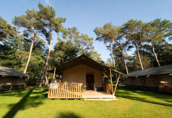 Safari tent with sanitary facilities at Eurocamping Vessem BV in the Netherlands, surrounded by trees.