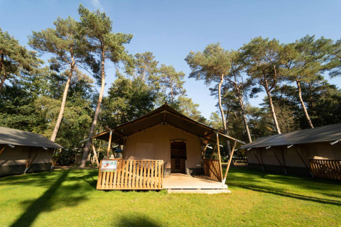 Safaritent met sanitaire voorzieningen op Eurocamping Vessem BV in Nederland, omgeven door bomen.