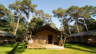 Tienda safari con instalaciones sanitarias en Eurocamping Vessem BV, Países Bajos, rodeada de árboles altos.