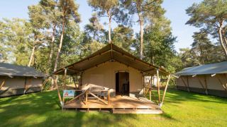 Tenda safari con veranda e servizi igienici privati a Eurocamping Vessem BV, tra alberi verdi.