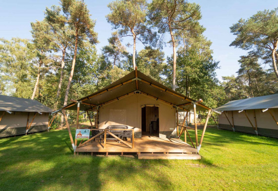 Tienda safari con porche y baño privado en Eurocamping Vessem BV, rodeada de verdes árboles.
