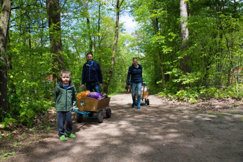 Familie går gennem grøn skov med trækvogne fyldt med tasker på ferie i glamping-område om dagen.