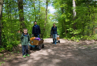 Family walks on a forest path with wagons full of bags at a glamping holiday park in daytime.