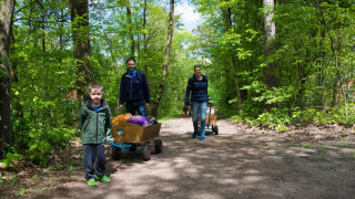 Familia camina por sendero forestal con carritos llenos de bolsas en parque glamping durante el día.