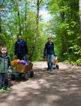 Familia camina por sendero forestal con carritos llenos de bolsas en parque glamping durante el día.