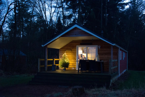 A cozy wooden cabin with a lit Christmas tree on the porch at dusk, located in a forest glamping holiday park.