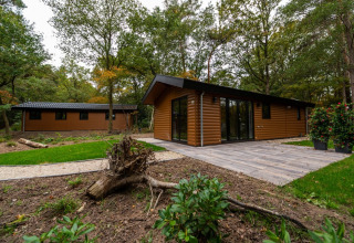 Modern glamping cabins in a green, wooded holiday park setting with patio and planters in front.