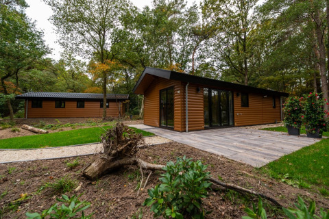 Modern glamping cabins in a green, wooded holiday park setting with patio and planters in front.